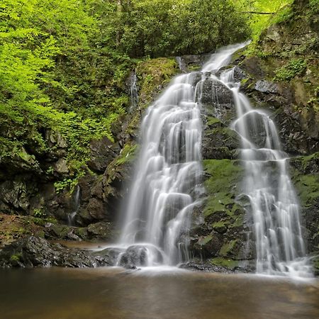 Papa Bear, Hot Tub, Wifi, 1089 Free Tickets Each Paid Day, Dollywood And More Севьервилл Экстерьер фото