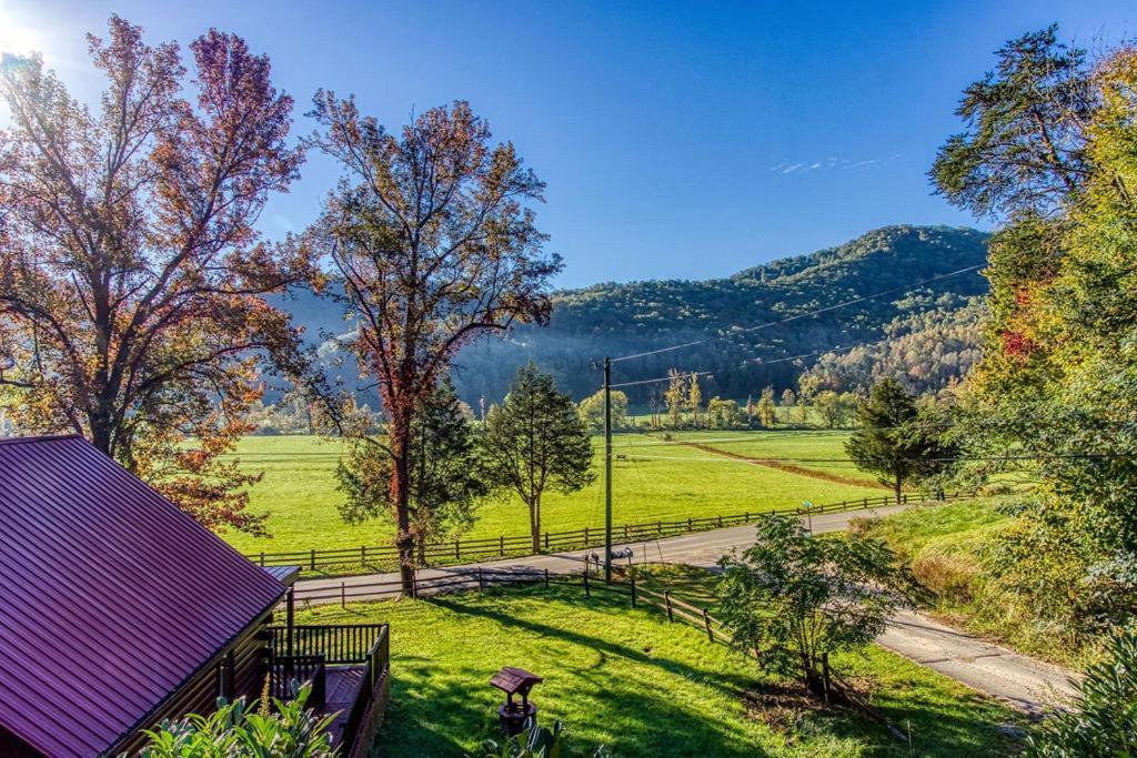 Papa Bear, Hot Tub, Wifi, 1089 Free Tickets Each Paid Day, Dollywood And More Севьервилл Экстерьер фото