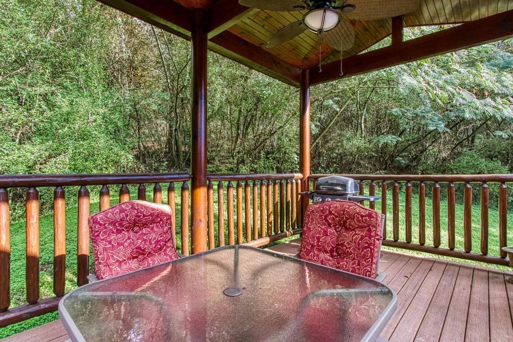 Papa Bear, Hot Tub, Wifi, 1089 Free Tickets Each Paid Day, Dollywood And More Севьервилл Экстерьер фото